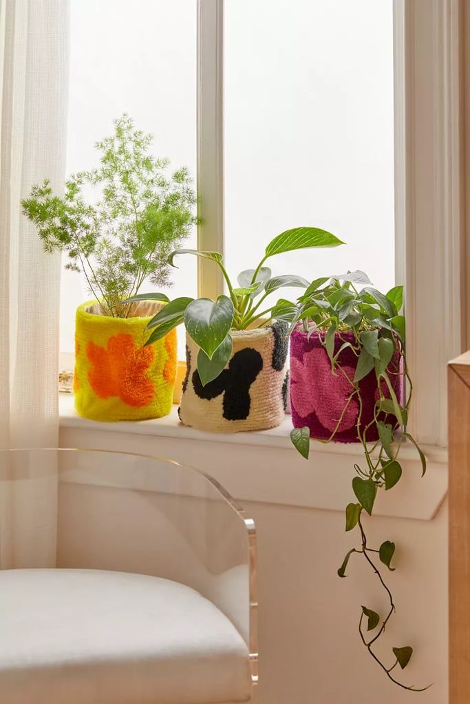 Planter Cozy Workshop